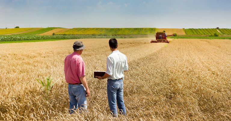 Agronegócio Pós-Pandemia Como Se Sobressair Neste Cenário