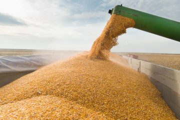 Entenda Por Que A Agricultura Brasileira Continua Em Expansão Em Meio À Crise Do Covid-19