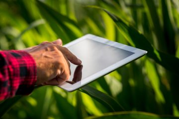 Startups Do Agro Apostam Em Tecnologia Para Oferecer Soluções Cada Vez Mais Inovadoras Para Produtores Agropecuários Em Meio À Crise - 17 08 2020 Startups Do Agro Apostam Em Tecnologia Para Oferecer Solucoes Cada Vez Mais Inovadoras Para Produtores Agropecuarios Em Meio A Crise