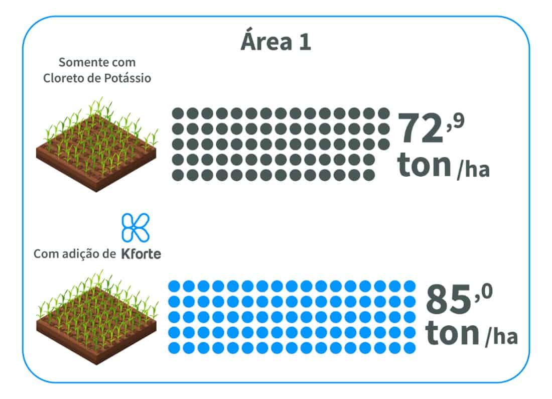 Resultados De Produtividade Na Área 1