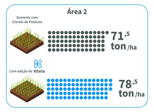 Resultados De Produtividade Na Área 2