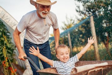 Conheças As Principais Estratégias De Sucesso Para Sua Fazenda Perdurar Por Gerações