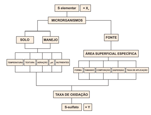 Diagrama Das Relações Entre As Variáveis Independentes (Xn) E Dependente (Y) Correlatas Que Afetam A Oxidação Do S Elementar A S-Sulfato