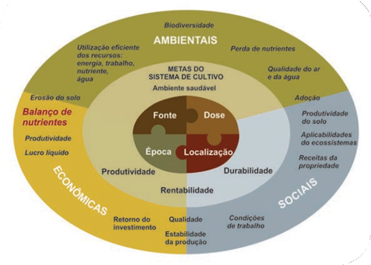 Diagrama Geral Para O Manejo Adequado De Nutrientes