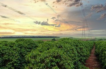 Entenda O Que É O Baks E As Suas Vantagens Para Uma Nova Agricultura