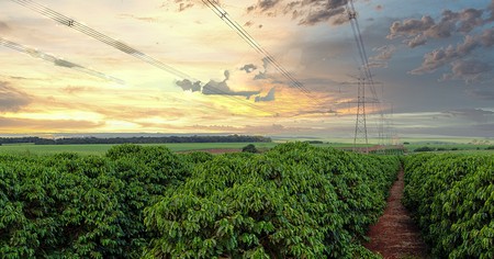 Entenda O Que É O Baks E As Suas Vantagens Para Uma Nova Agricultura