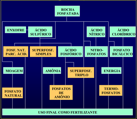 Representação Da Formação Do Adubo Super Simples E De Outros Fertilizantes De Fósforo A Partir De Rochas Fosfatadas