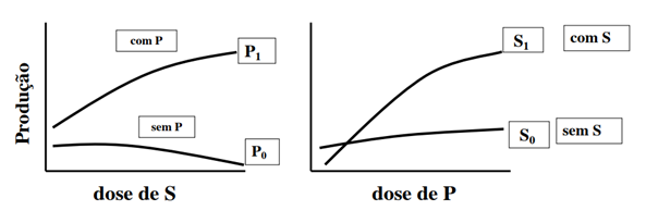 Sintomas De Deficiência De Enxofre