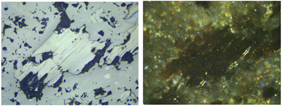 Diferentes Apresentações Da Biotita, Vistas No Microscópio