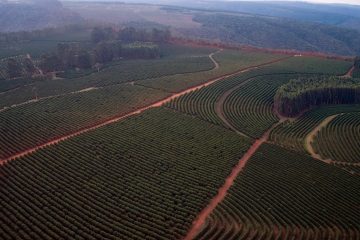 Saiba Mais Sobre O Uso Do Nitrato De Amônio Como Fertilizante - O Que E O Nitrato De Amonio