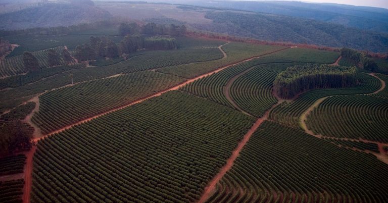 Saiba Mais Sobre O Uso Do Nitrato De Amônio Como Fertilizante - O Que E O Nitrato De Amonio