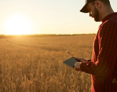 Saiba Como A Agricultura Digital Aumenta A Produtividade E Reduz Custos