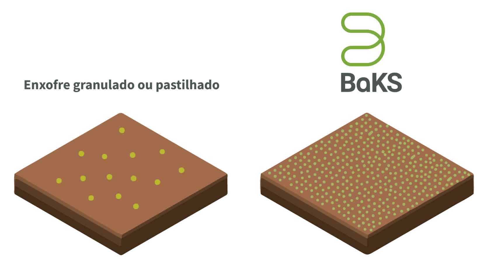 Comparação Da Distribuição Do Enxofre Granulado Ou Pastilhado E O Baks, Fertilizante Com Enxofre Micronizado Da Verde. O Número De Partículas Da Ilustração É Baseado Em Uma Distribuição De 30Kg Por Hectare, Considerando Um Cálculo Proporcional Entre O Peso E Concentração De Cada Produto.