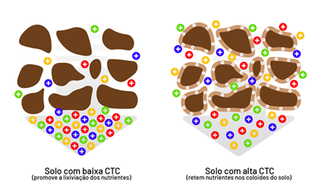 Esquema Demostrando Como A Ctc Influencia Na Retenção De Nutrientes Com Cargas Positivas No Solo.