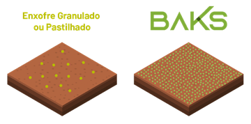 O Enxofre Elementar Micronizado, Matéria-Prima Do Baks, É Distribuído Mais Homogeneamente. A Ilustração Representa A Distribuição Dos Produtos Em 1 Hectare Considerando Uma Aplicação De 30 Kg De Enxofre Por Hectare. O Número De Partículas Da Ilustração É Baseado Em Um Cálculo Proporcional Ao Peso E Concentração De Cada Produto.