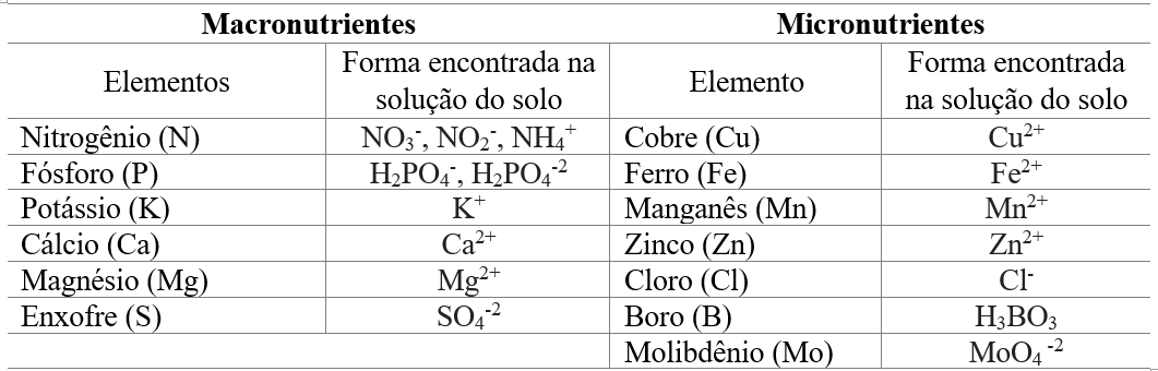 Relação Dos 13 Nutrientes Minerais Essenciais Das Plantas E Suas Formas Encontradas No Solo