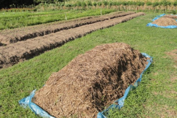 Sete Benefícios Da Compostagem Para A Produção Agrícola - Sete Beneficios Da Compostagem Para A Producao Agricola