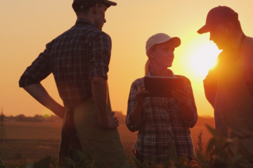 Aprenda Estratégias Para Reduzir Custos Na Agricultura De Forma Efetiva