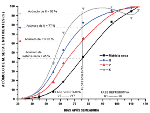 Na Cultura Do Milho, O Acúmulo De Matéria Seca, Nitrogênio, Fósforo E Potássio É Progressivo Durante Todo O Seu Ciclo Vegetativo. (Fonte: Modificado De Karlen Et Al. - 1987)