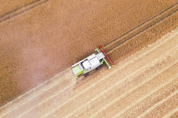 O Relatório Relatório Da Fao Com Participação Da Embrapa Estima Que Cerca De 76 Milhões De Hectares No Mundo Apresentam Salinidade Induzida Pela Ação Do Homem, Uma Área Maior Que Toda A Terra Arável Do Brasil. (Fonte: Daniel Beckemeier - Unsplash)