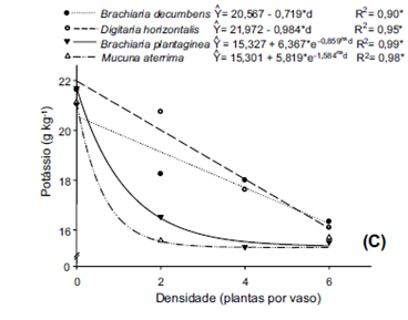 Em Condições De Competição, As Plantas Daninhas Podem Afetar Negativamente A Concentração De Potássio Nas Plantas De Café. 