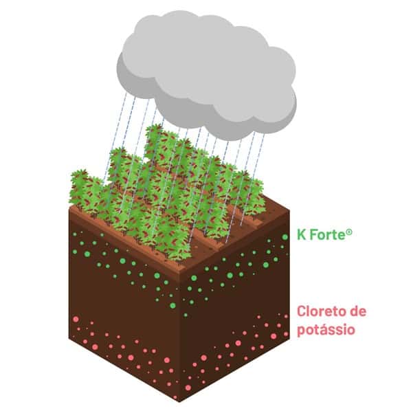 O K Forte® É Menos Sujeito À Ação Da Lixiviação