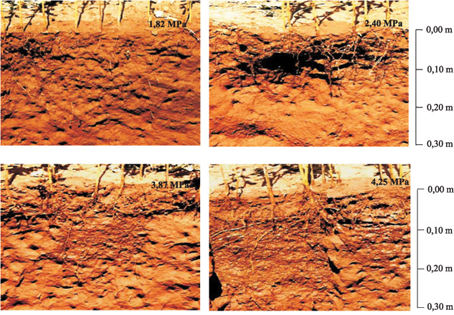 Perfil Do Desenvolvimento Radicular Da Soja, Sob Diferentes Níveis De Resistência Do Solo À Penetração