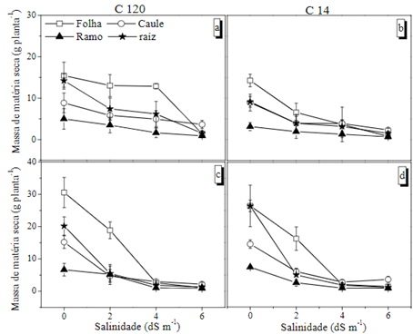 Efeito Da Salinidade Sobre A Produção De Matéria Seca De Duas Cultivares De Café. 