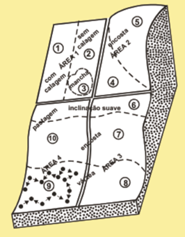 Plano De Amostragem Por Caminhamento Em Ziguezague De Uma Gleba, Com Diferentes Declives E Usos De Solo. (Fonte: Comissão De Fertilidade Do Solo- Rs/Sc, 1995).