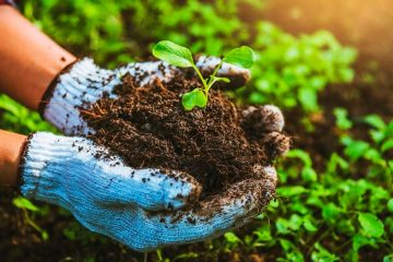 Agricultor De Ibiúna - Sp Conta Como O K Forte® Otimizou O Manejo Agrícola