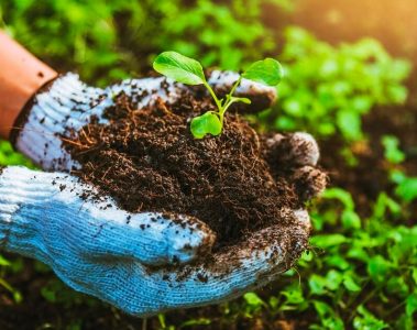 Agricultor De Ibiúna - Sp Conta Como O K Forte® Otimizou O Manejo Agrícola