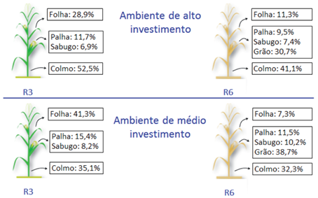 Compartimentalização De Potássio (% Do Total Acumulado Na Parte Aérea) Em Plantas De Milho, No Enchimento De Grãos (R3) E Após A Maturação Fisiológica (R6), Em Ambientes Com Alto E Médio Investimento Em Adubação