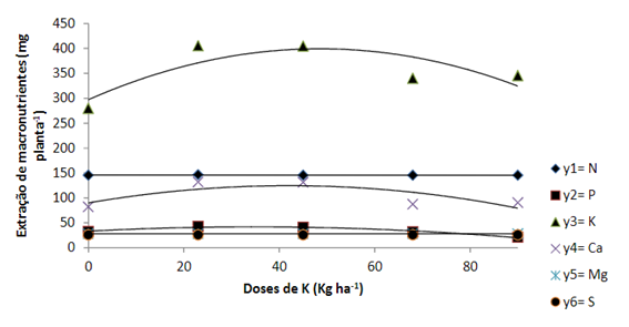 Extração De Nitrogênio, Potássio, Cálcio, Magnésio E Enxofre Total (Parte Aérea + Raízes) Pela Cenoura Em Função Das Doses De Potássio. (Fonte: Correa &Amp; Cardoso, 2021)