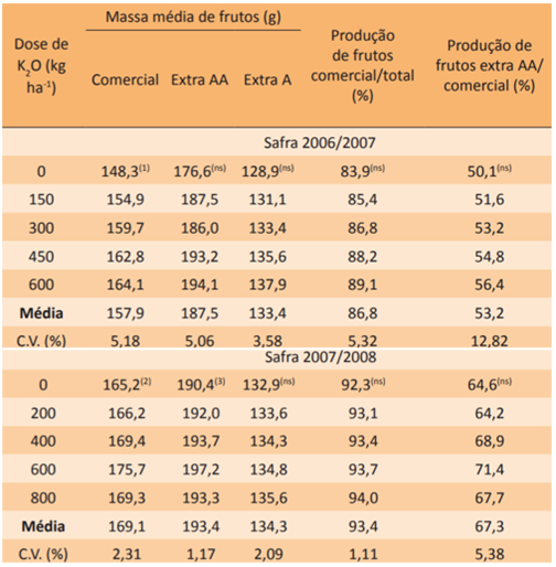 Massa Média De Frutos De Tomate Em Função De Doses De Potássio (K2O)