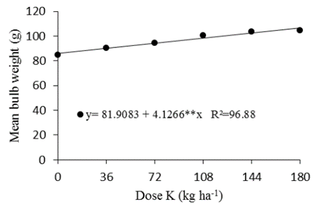 Peso Médio Dos Bulbos De Cebola Em Função Das Doses De Potássio (K2O)