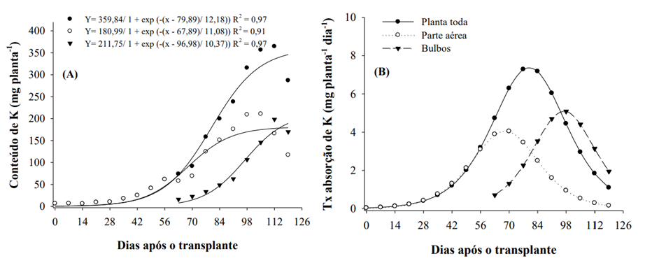 Acúmulo (A) E Taxa De Absorção Diária (B) De Potássio Pela Cultura Da Cebola (Cultivar Bola Precoce).