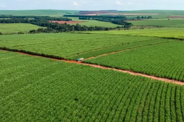 Como Combater A Salinização Dos Solos E Aumentar A Produtividade Agrícola