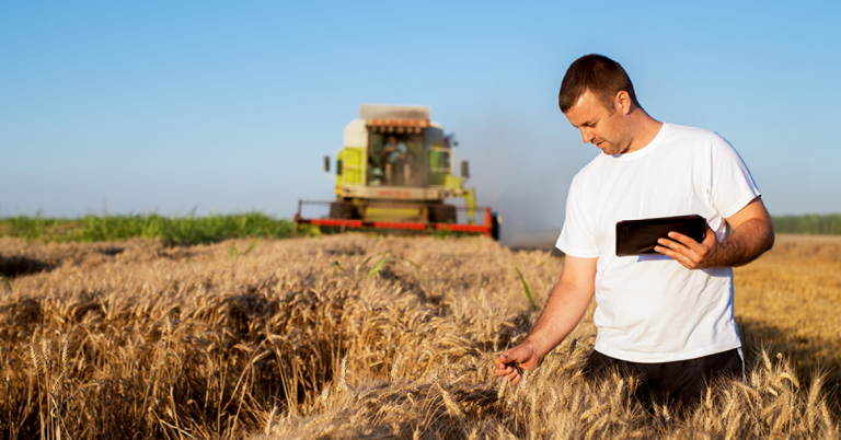 Falta De Gás Natural Na Europa Traz O Perigo De Escassez De Fertilizantes E Aumento De Preços De Alimentos