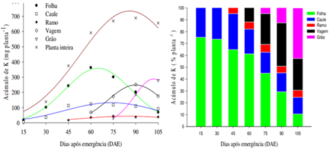 Acúmulo De Potássio Na Planta Inteira E Nos Diferentes Componentes Da Parte Aérea Das Plantas De Soja Brs 1001, Em Função Dos Dias Após Emergência (Dae).