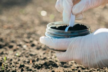 Amostragem De Fertilizantes Como Enviar Uma Amostra Do K Forte® Para Análise