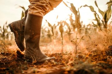 Entenda Como O Conflito Entre Rússia E Ucrânia Afeta A Agricultura Brasileira