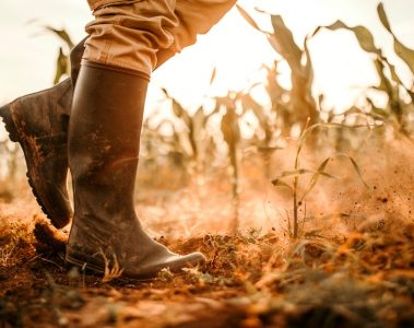 Entenda Como O Conflito Entre Rússia E Ucrânia Afeta A Agricultura Brasileira