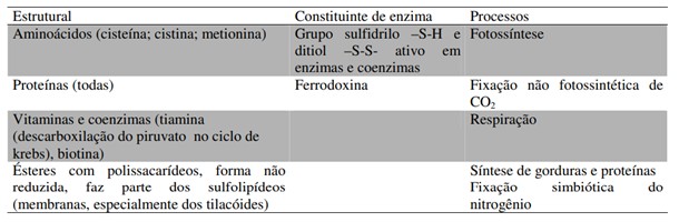 Resumo Das Funções Do Enxofre Nas Plantas 