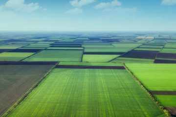 Como O Manejo Agrícola Pode Ajudar A Reduzir Emissões De Gases De Efeito Estufa