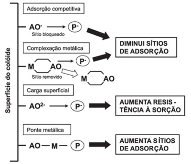 Exemplo De Competição Entre Os Ácidos Orgânicos E O Fósforo Pelos Sítios De Adsorção No Solo