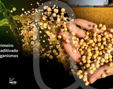 Após Estudos Com Universidades Federais, Verde Agritech Lança Bio Revolution, Tecnologia Inédita Que Permite Aditivar Fertilizantes Minerais Com Microrganismos - Microsoftteams Image 2