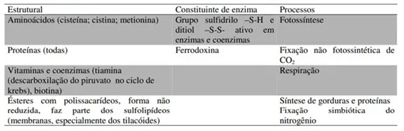 Resumo Das Funções Do Enxofre Nas Plantas.