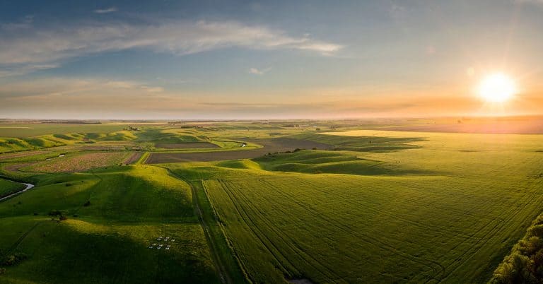 Agricultores Do Brasil Contam Como É Ser Cliente Da Verde Agritech