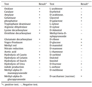 Algumas Características Fisiológicas, Bioquímicas E Quimiotaxonômicas De Uma Cepa Da Rizobactéria Bacillus Aryabhattai.