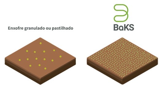 Comparação Da Distribuição Do Enxofre Elementar Granulado Ou Pastilhado E O Enxofre Elementar Micronizado